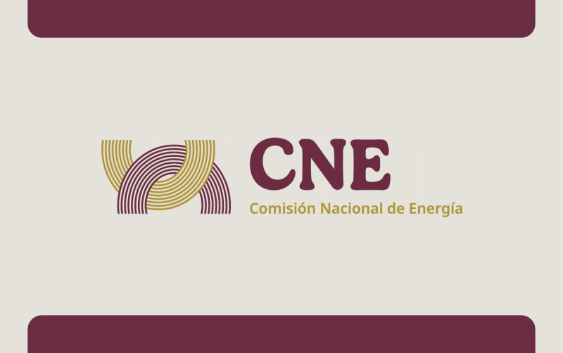 CNE | Acuerdo de Levantamiento de Plazos