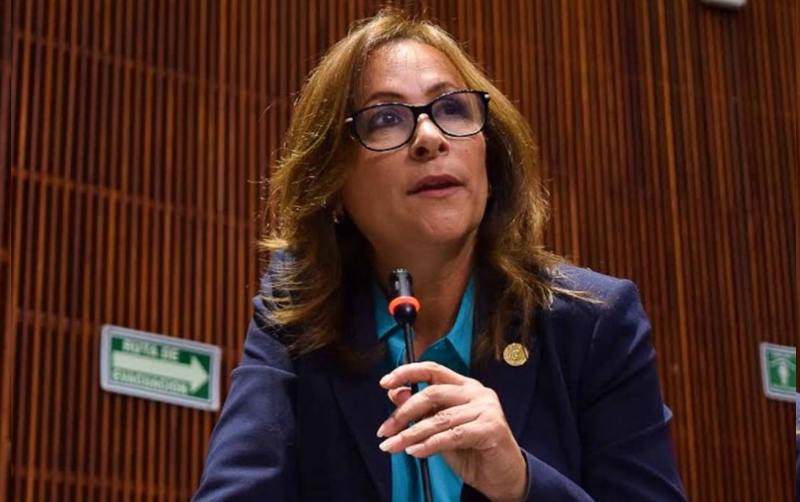 Rocío Nahle García, Secretaria de Energía