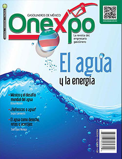 Revista No. 234