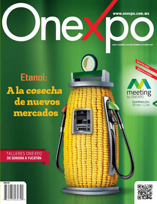 Revista No. 255