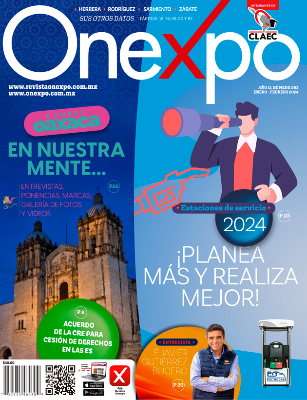 Revista No. 293