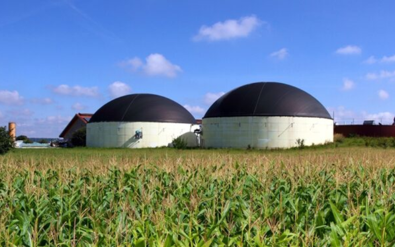 Bioenergéticos, una oportunidad de negocio y para la transición energética