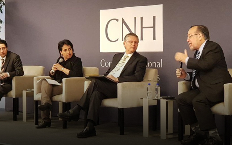 CNH recomienda acelerar desarrollo de gas natural