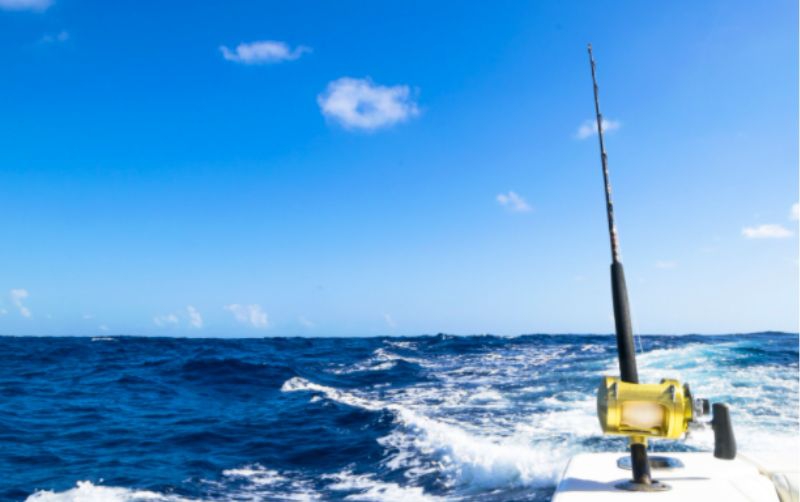 Golf, pesca & gasolinas