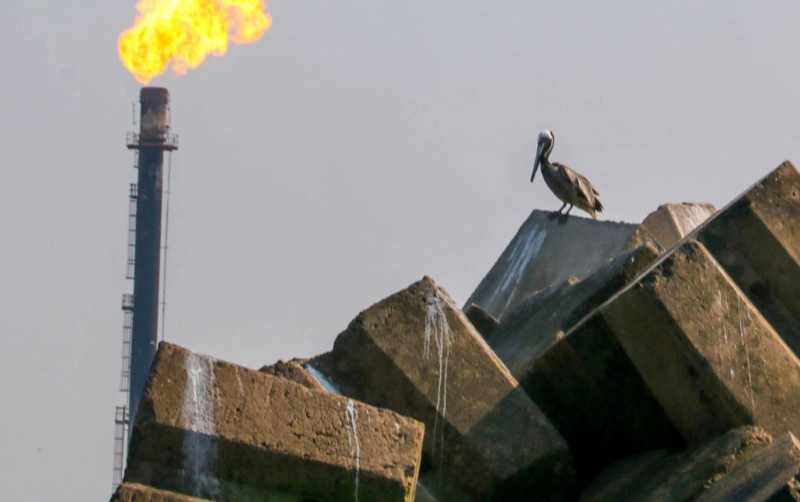 Pemex busca desarrollar proyectos de gas licuado: ¿En qué zona del país los evalúa?