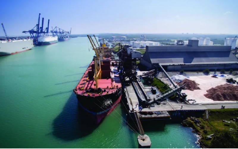 Puerto de Altamira alcanza en septiembre las 15.6 millones de toneladas movilizadas