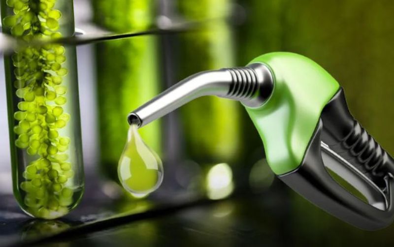 ¿Qué frena el avance del biocombustible en México?