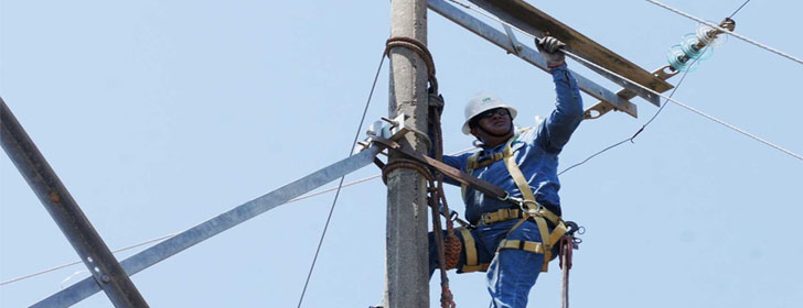 Plantean costo competitivo por usar postes de la CFE